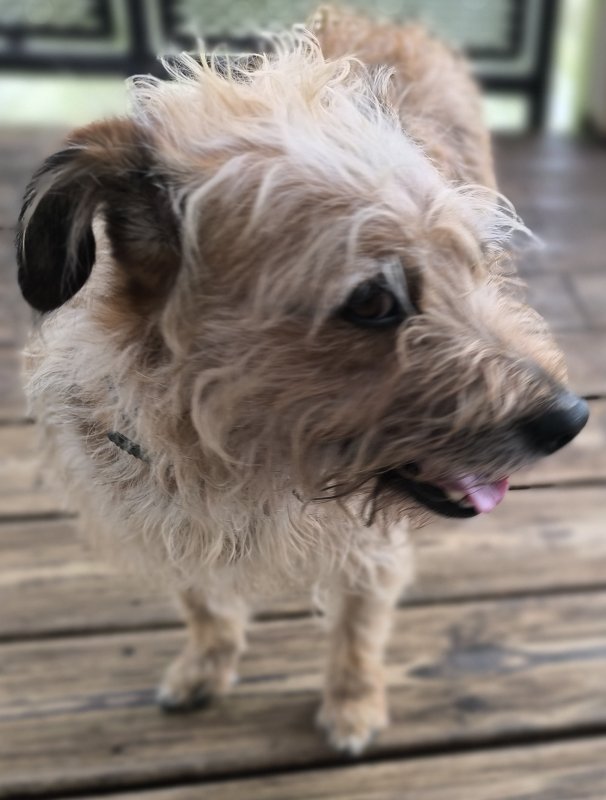 LUCY