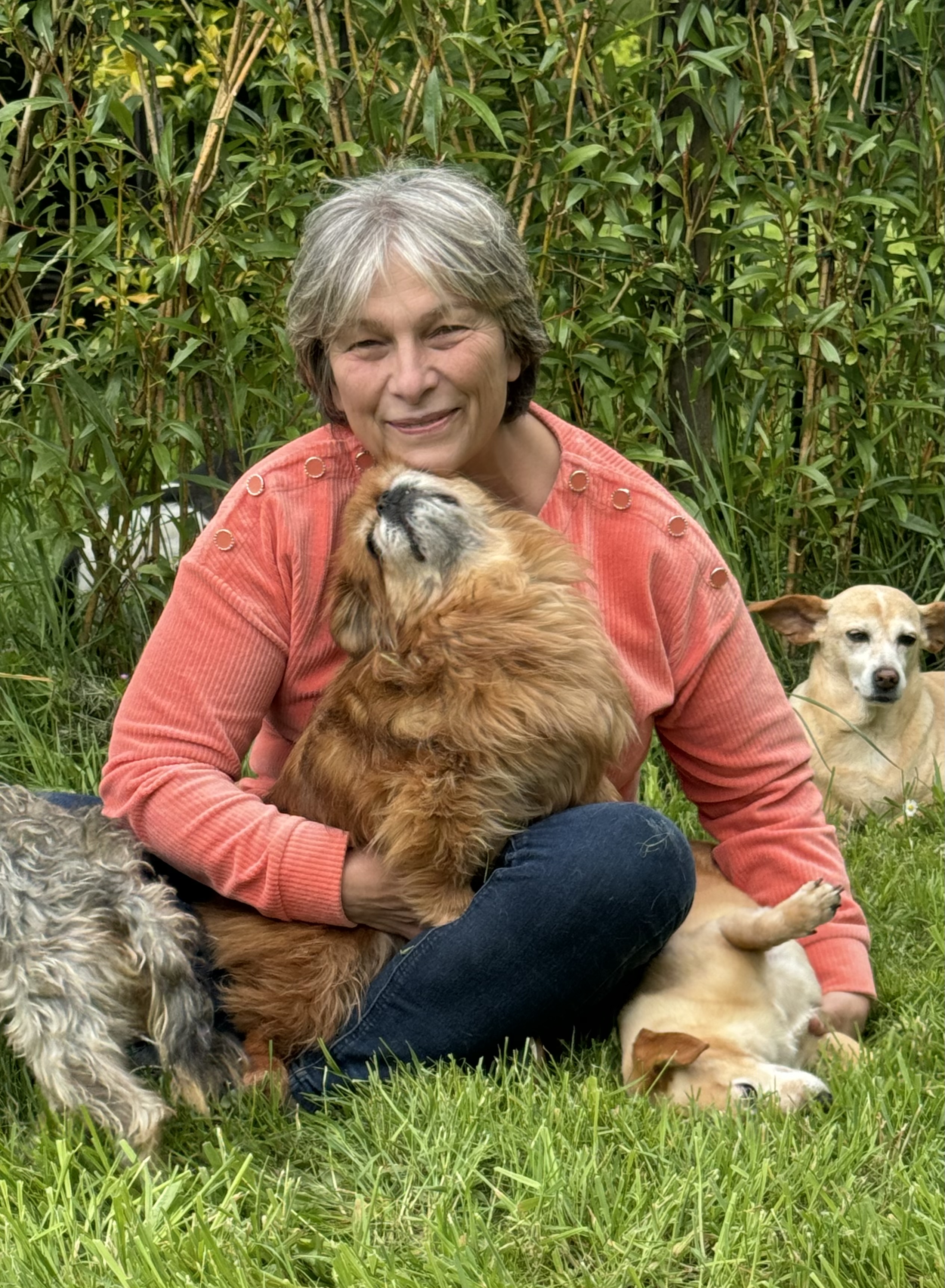 Notre mission — Toutous du Monde